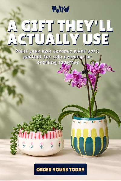 Shop the new Paint-a-Plant Pot Kit now.