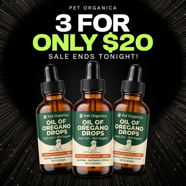 60% off + 2 free gifts, ends tonight