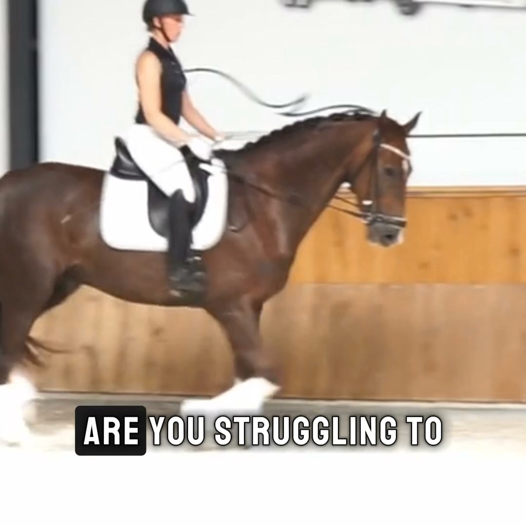 Fix Your Horse's Balance Issues Forever