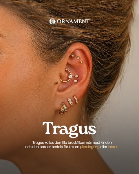 Piercingsmycken till Tragus