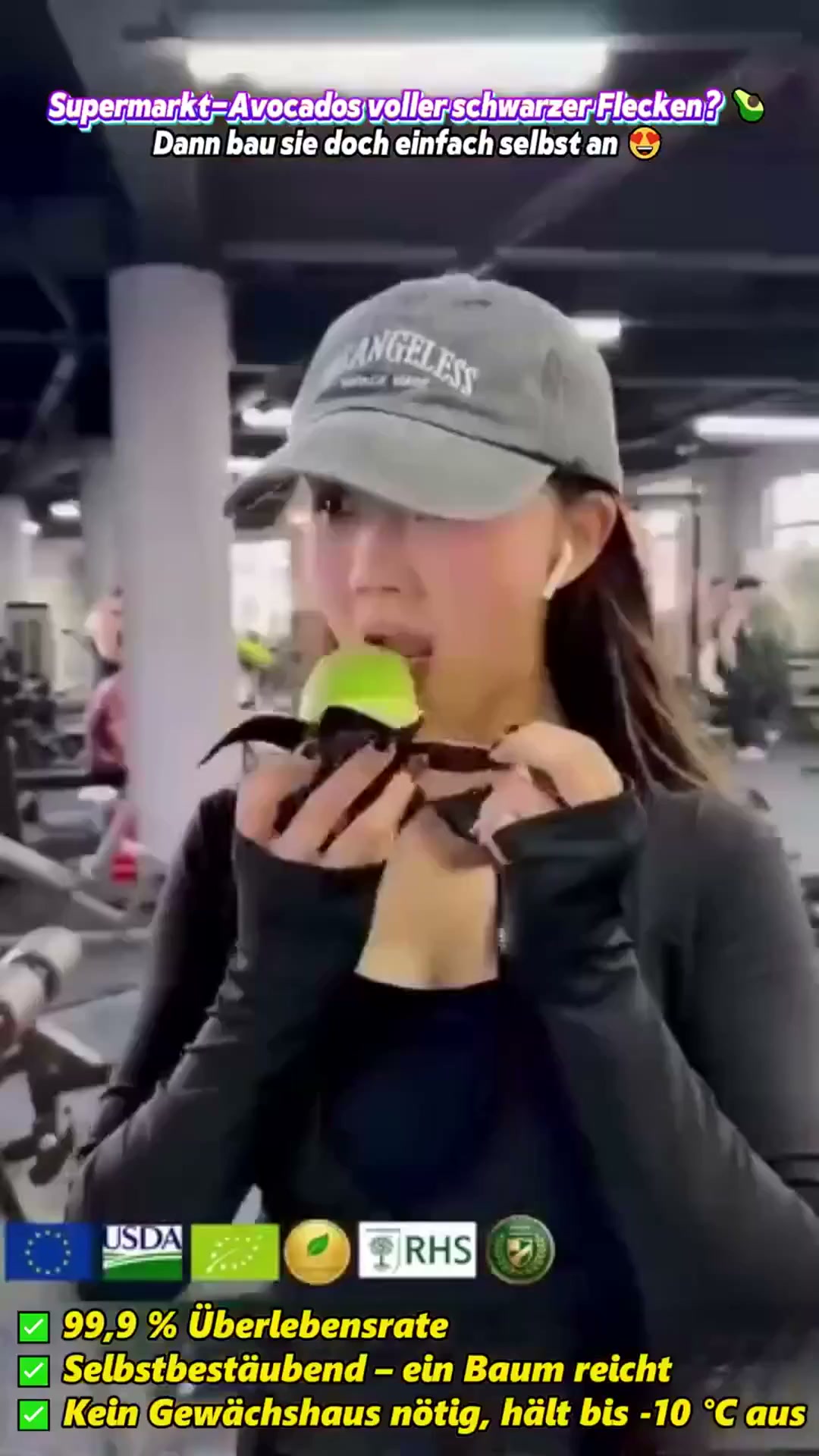 Avocado vom eigenen Balkon? Diese Setzlinge machen’s möglich.