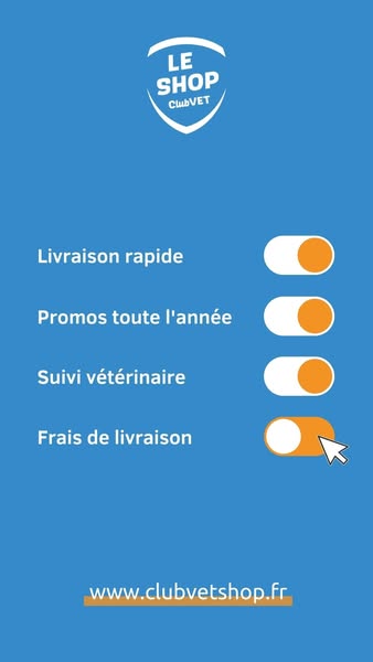 Conseil et suivi professionnel