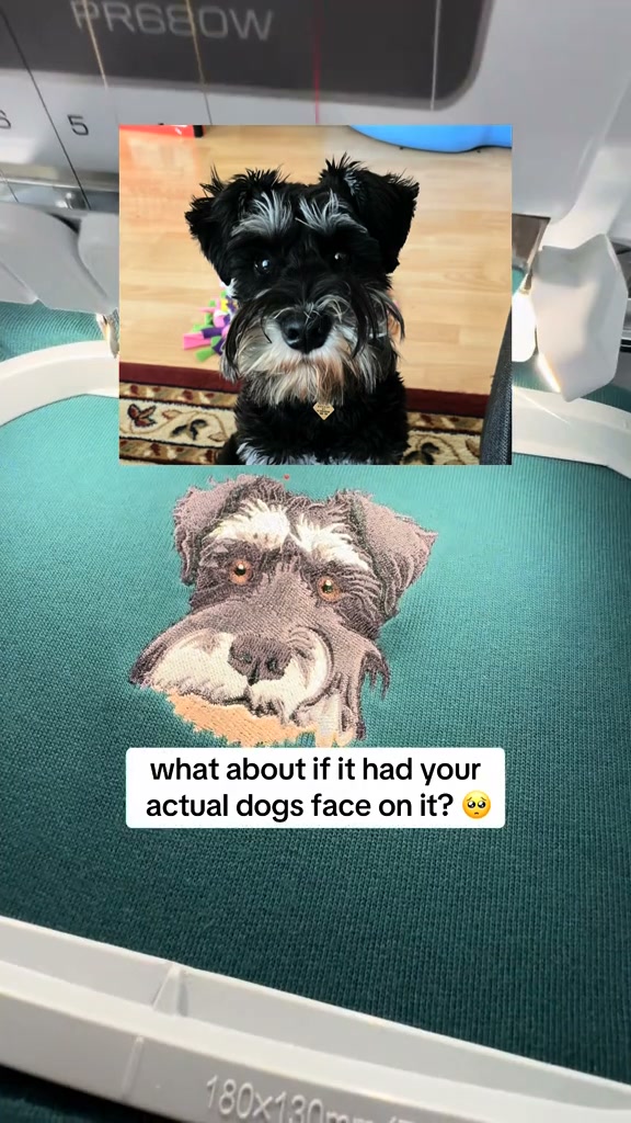 A Personalized Christmas Gift For Pet Lovers