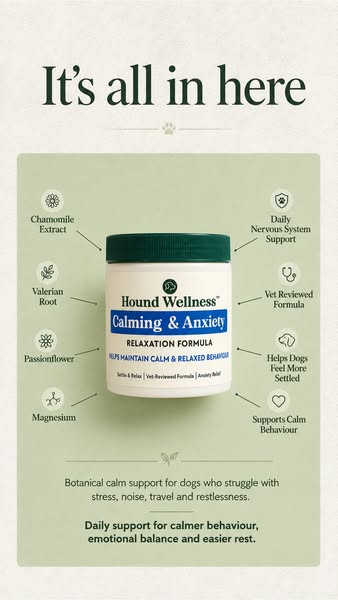 It’s All In One Daily Chew