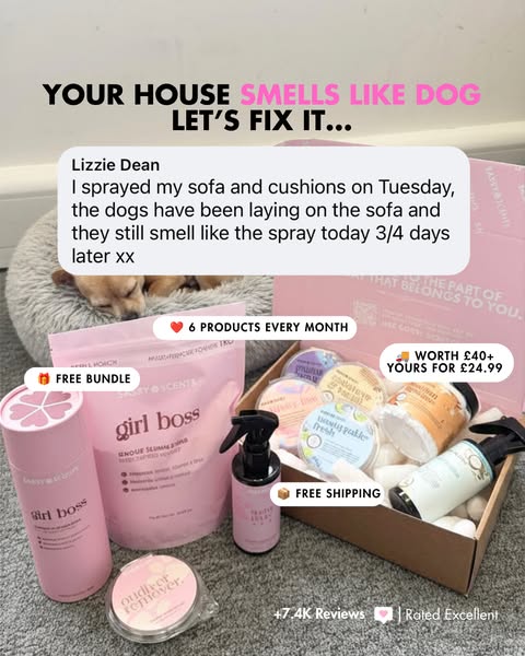 My secret to a dog-free-smelling house