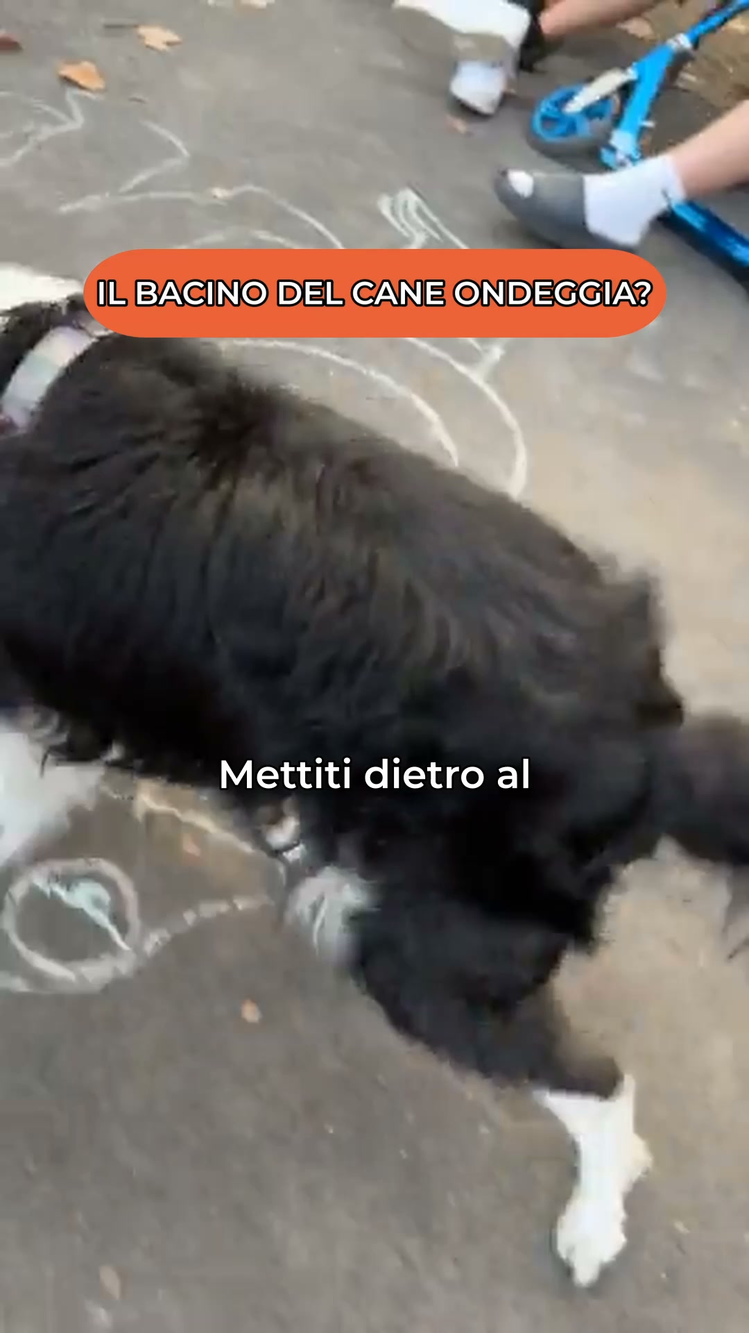 Il primo zoppicamento non è l’inizio del problema
