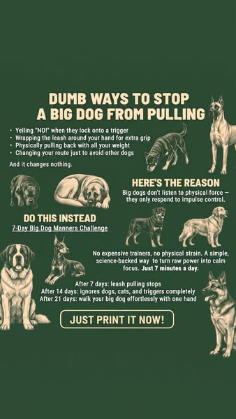 Stop Dog Chaos & Get Peace Today!