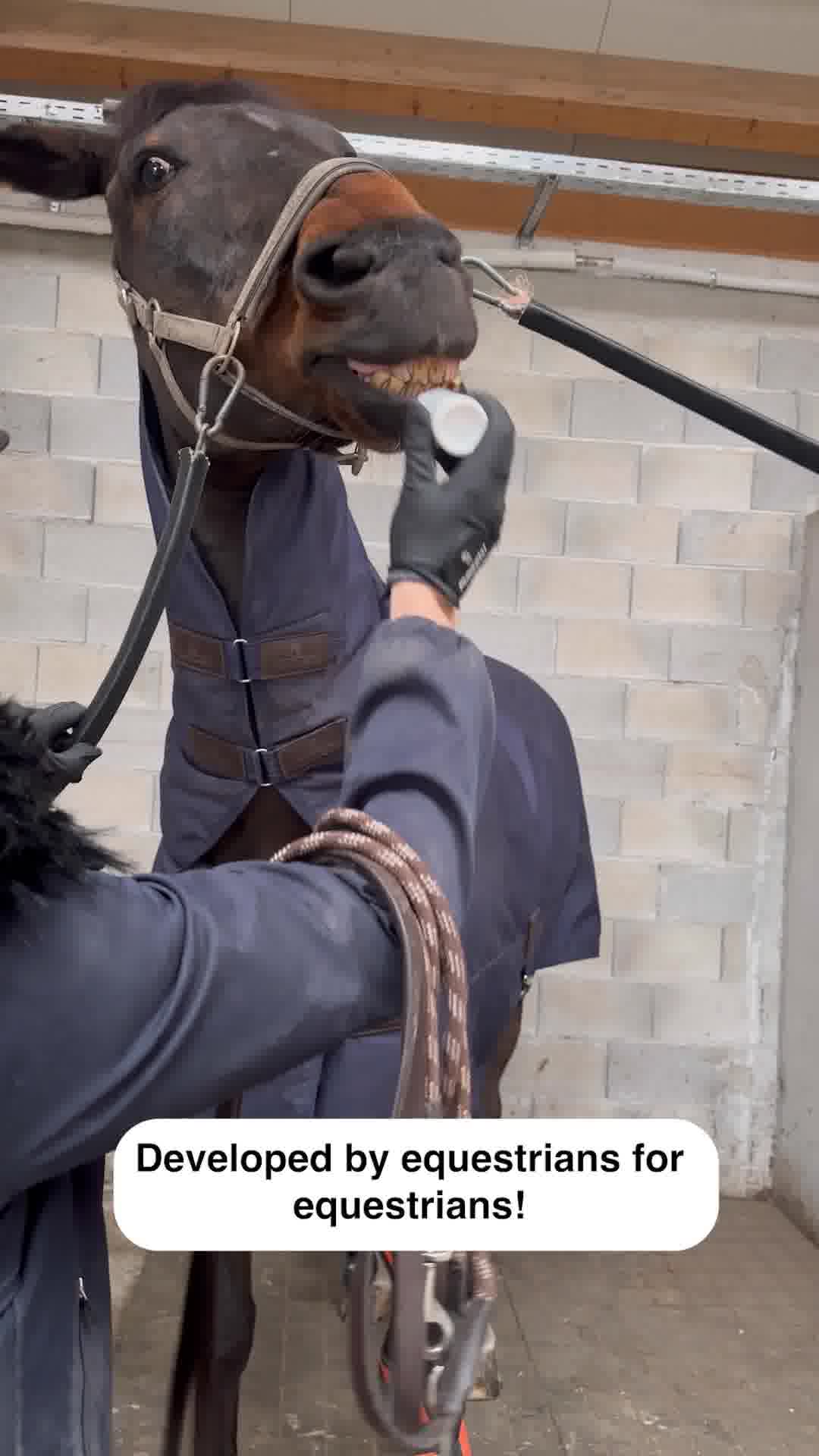 Calm horse = Smooth ride