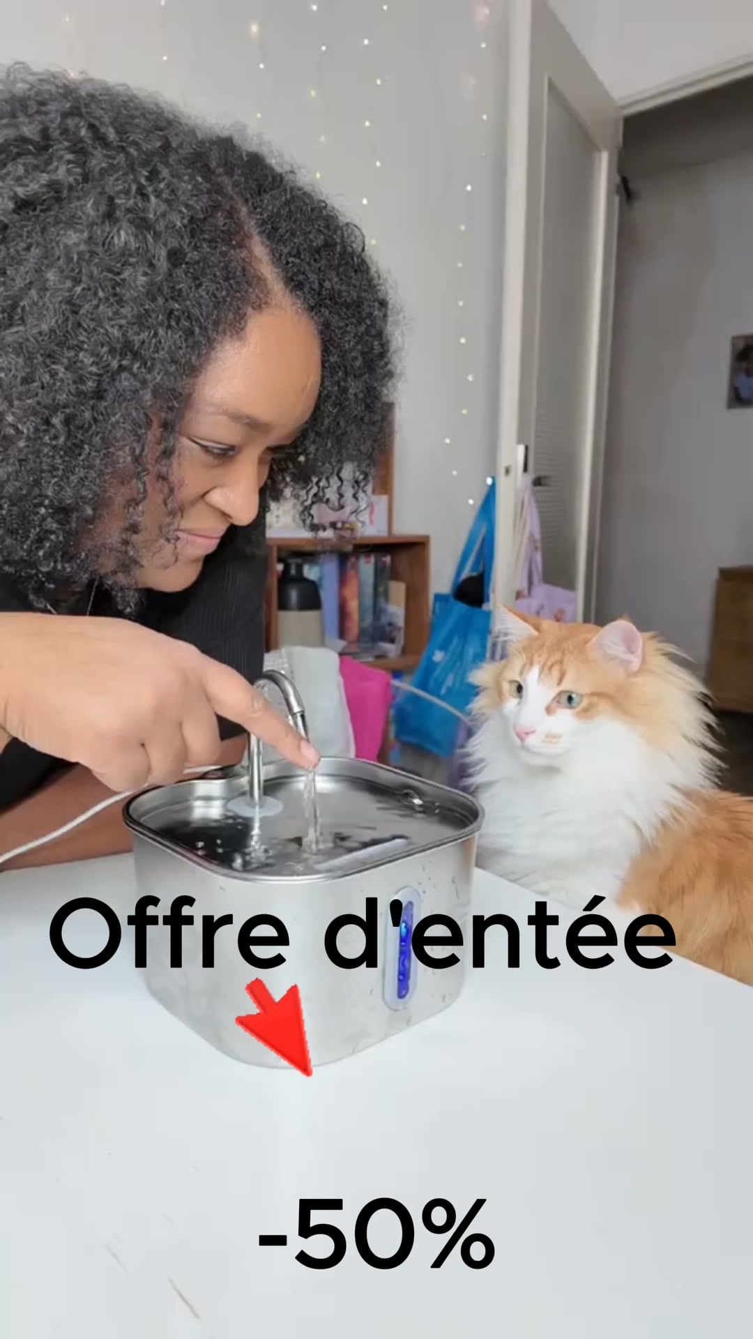 Enfin une fontaine qui donne envie à votre chat de boire davantage