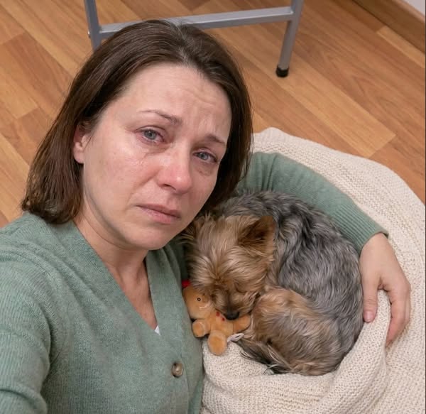 Lies das, wenn du einen Hund hast