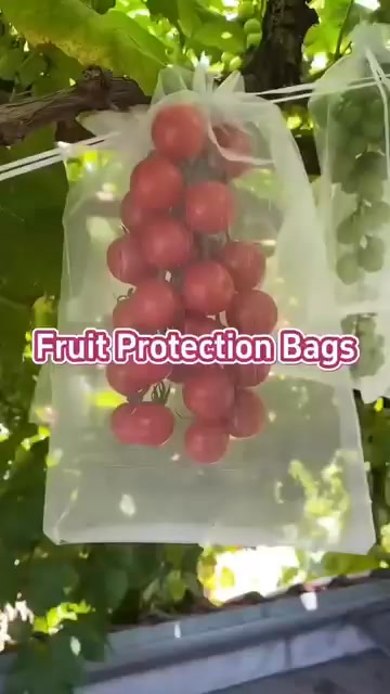 Protect Your Fruit Naturally with Breathable, Pest-Proof Bags
