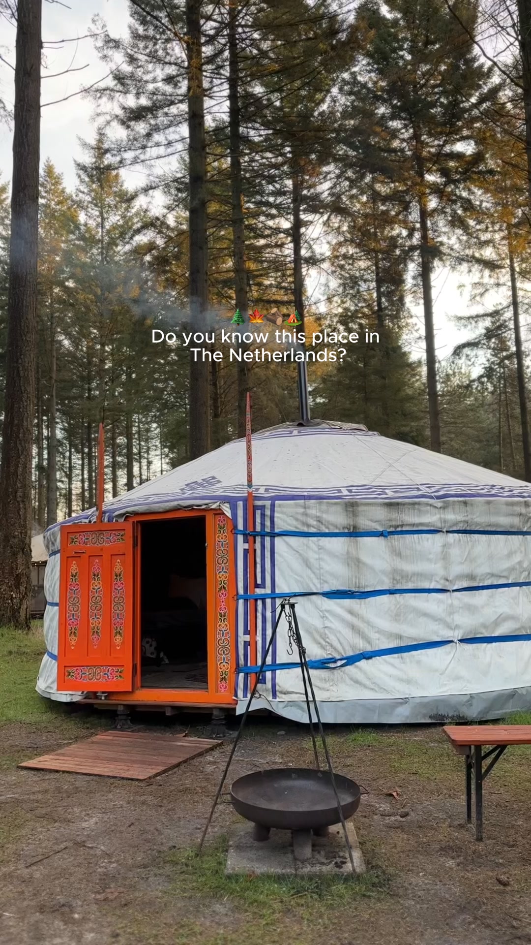 Winterwoods 2026