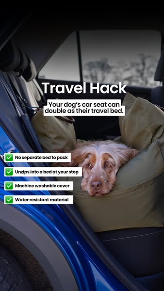Travel Dog Pod (Now with ISOFIX)