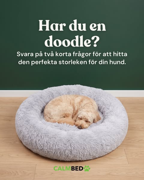 Rätt storlek till din doodle
