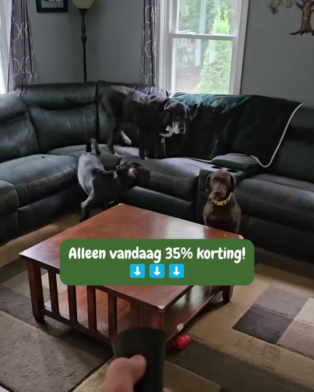 Nu tijdelijk afgeprijsd