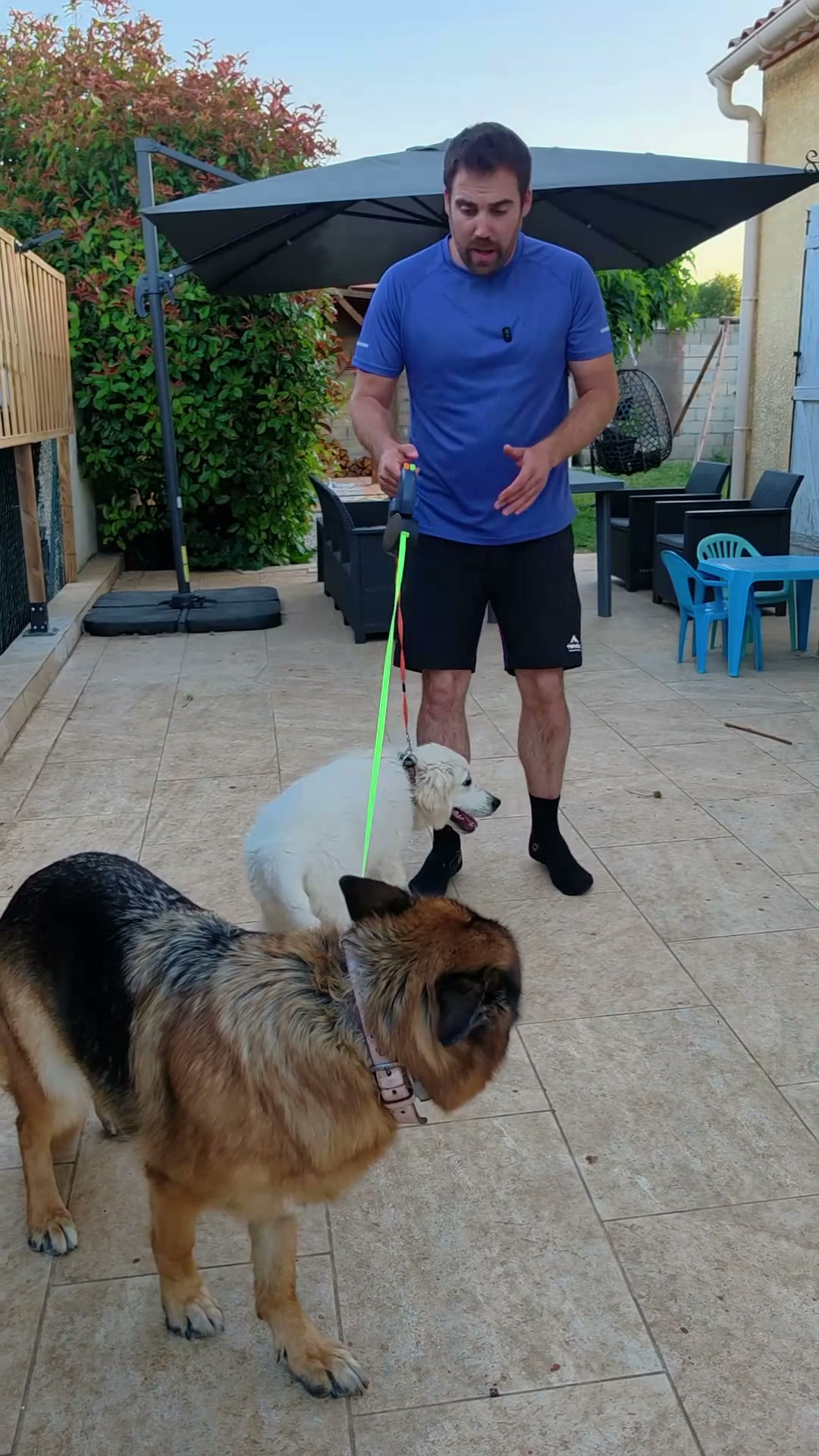 Meer controle over beide honden!