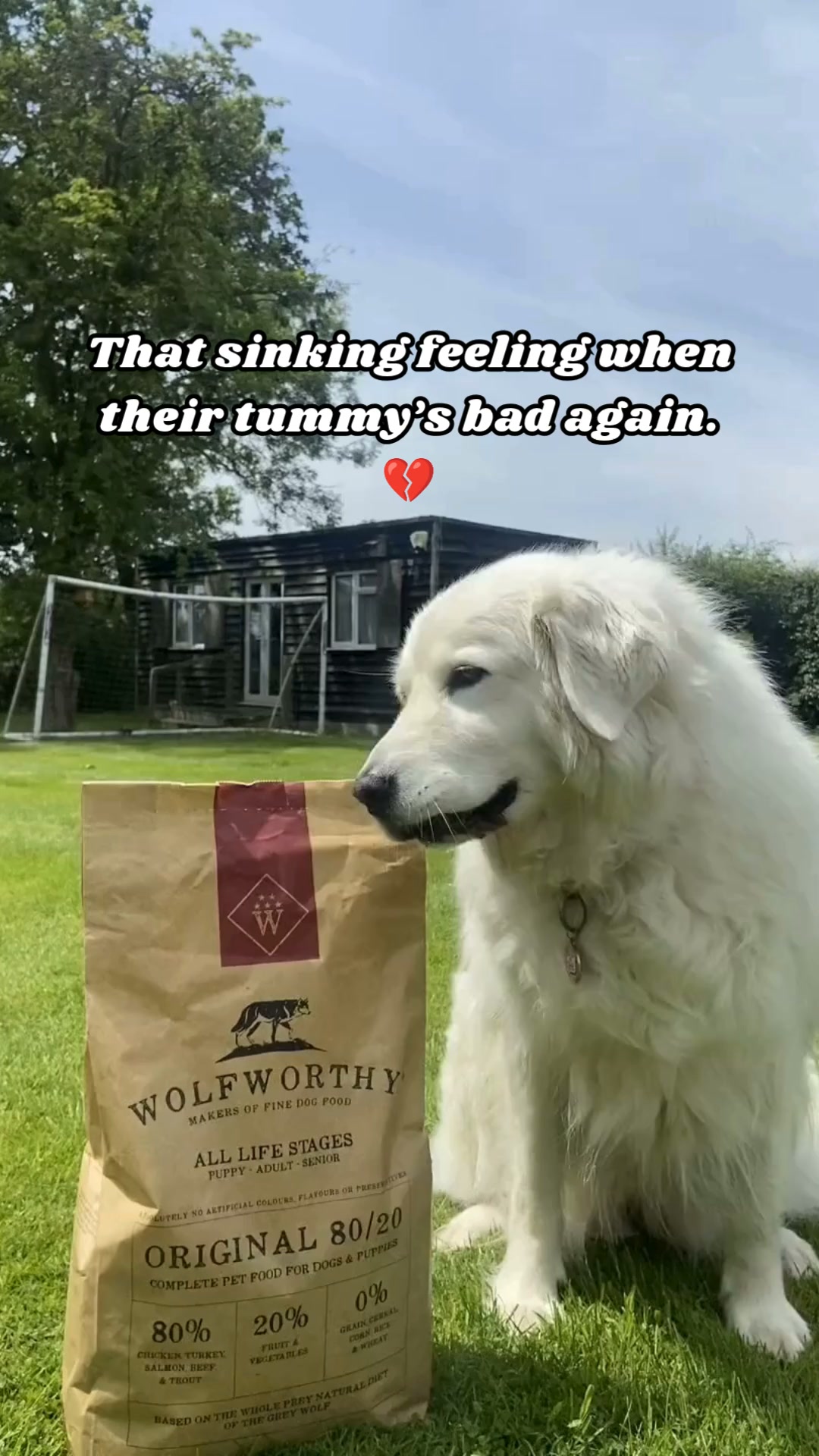 Try Wolfworthy for Just £1.99