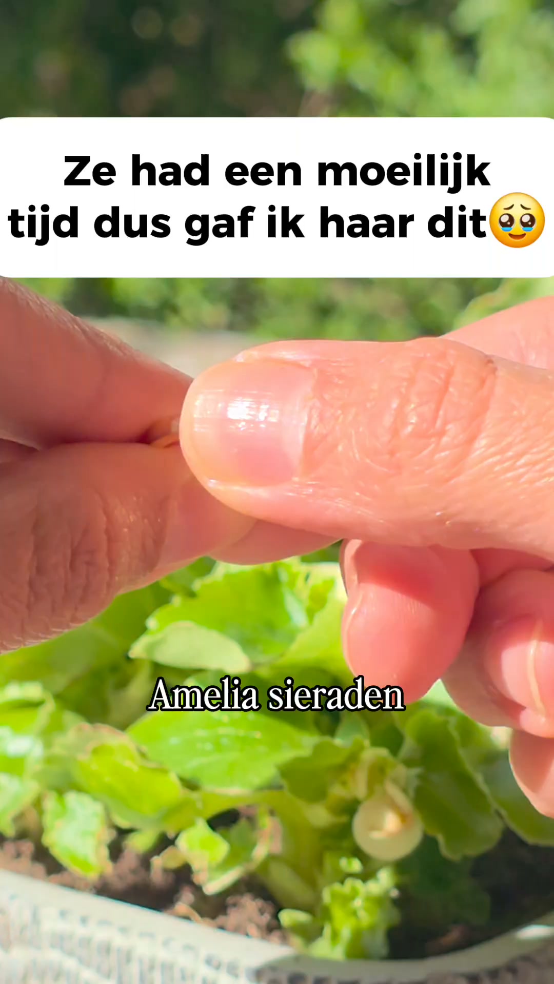 Een eeuwige knuffel