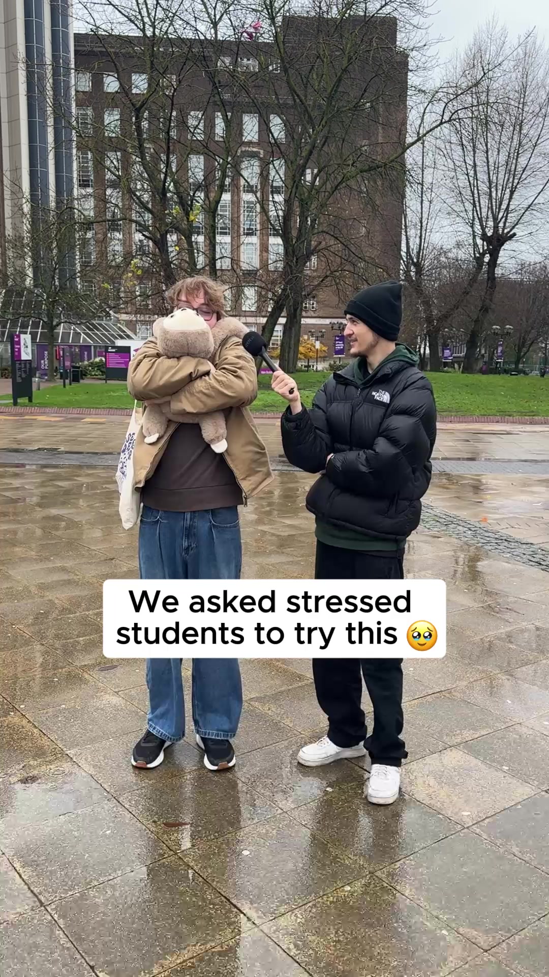 Feel Safe, Calm, and Held