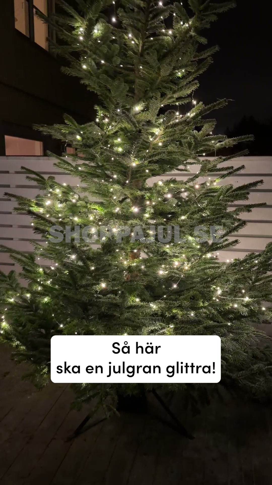 Julgransbelysning