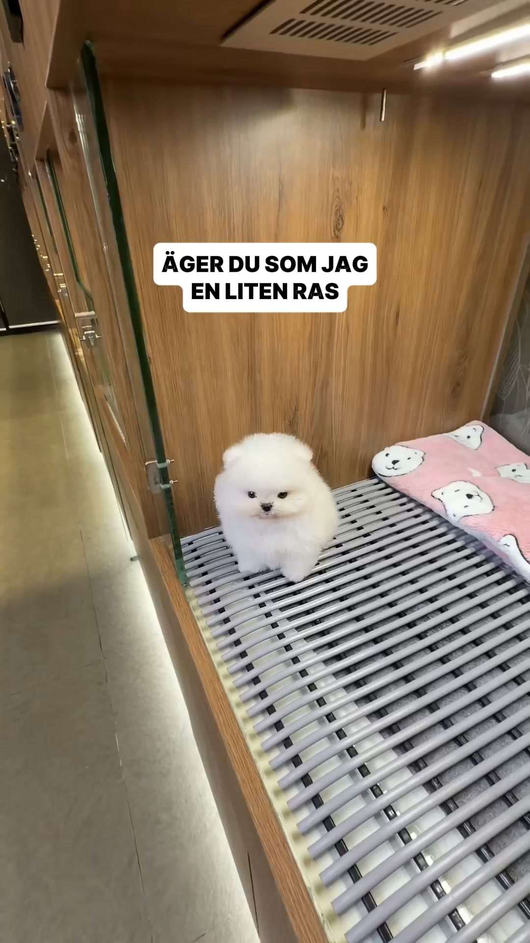 Det är plack som pratar