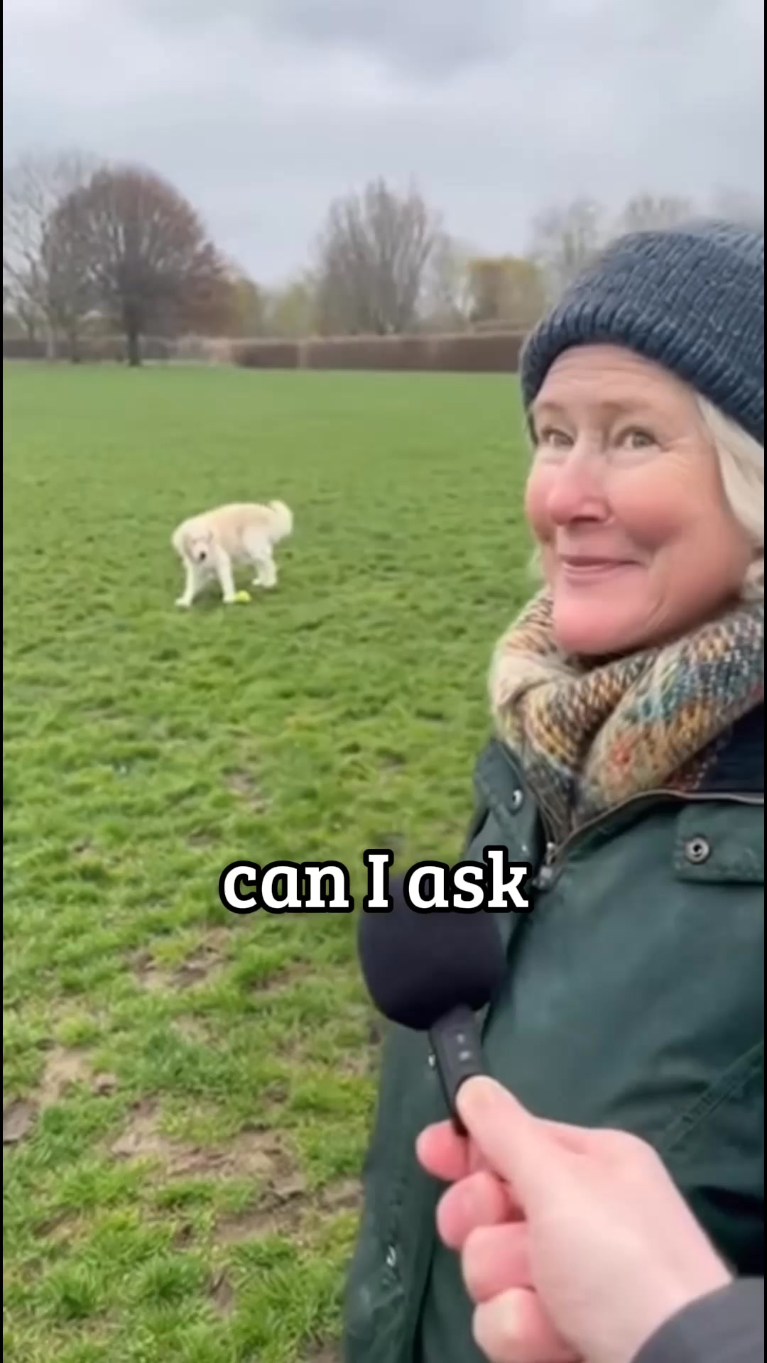 Restore Your Dogs Mobility 𝘗𝘳𝘰𝘱𝘦𝘳𝘭𝘺