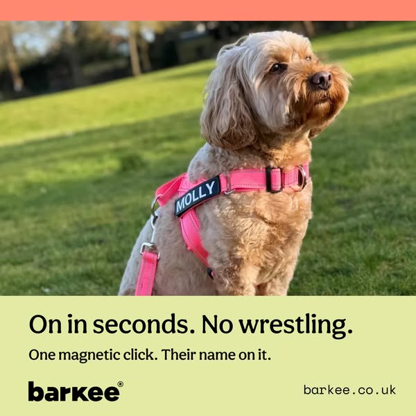 On in seconds. No wrestling.