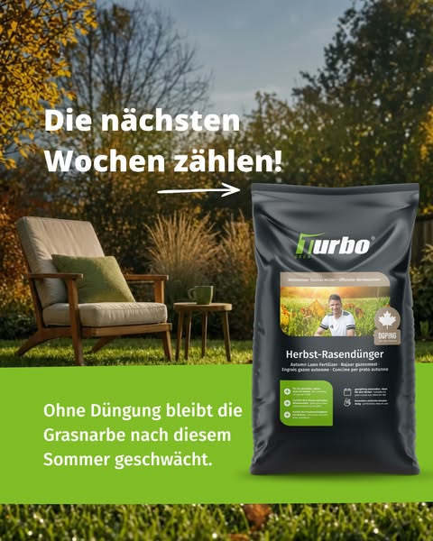 Rasen nach dem Sommer retten