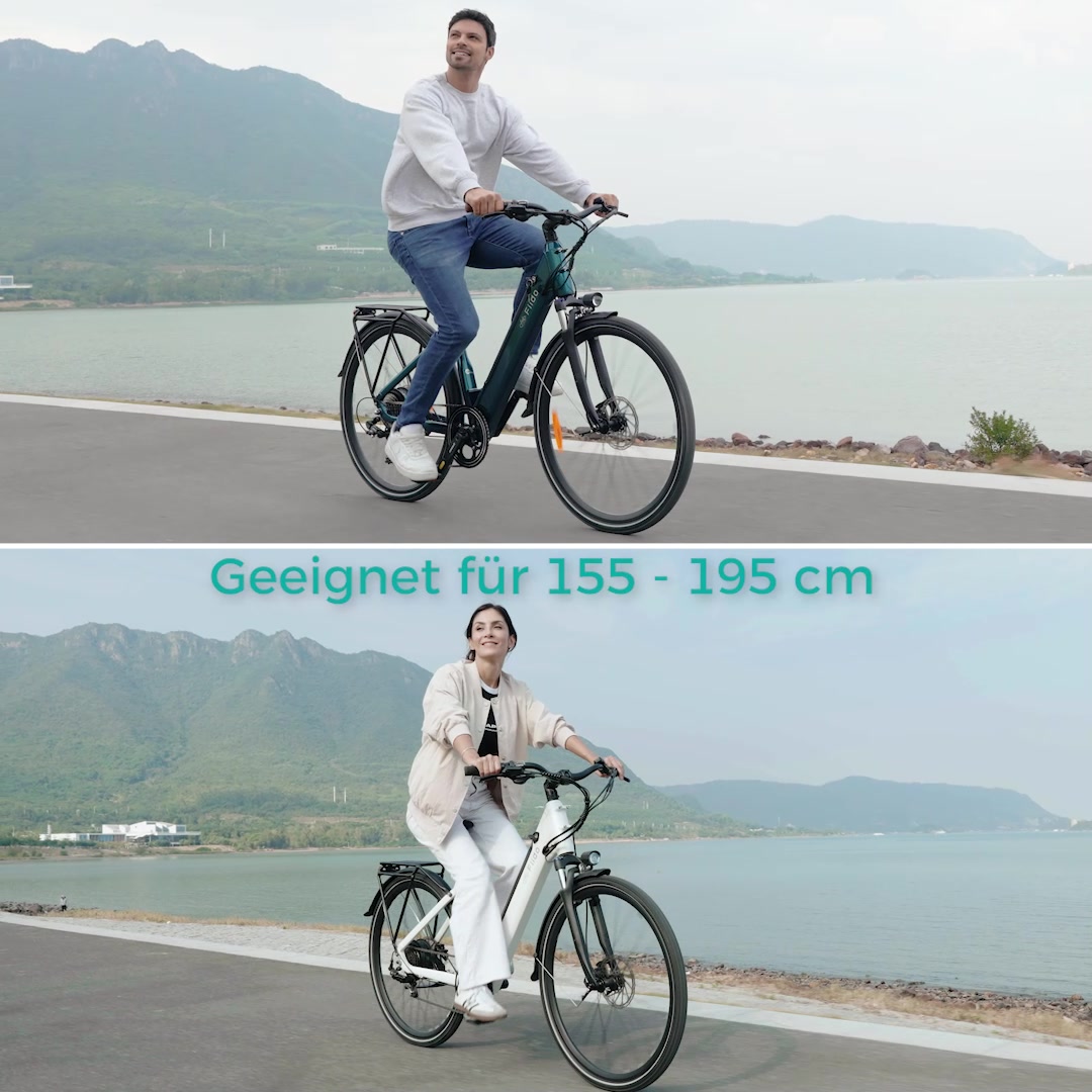 Fiido C11 E-Bike, nur 899 €