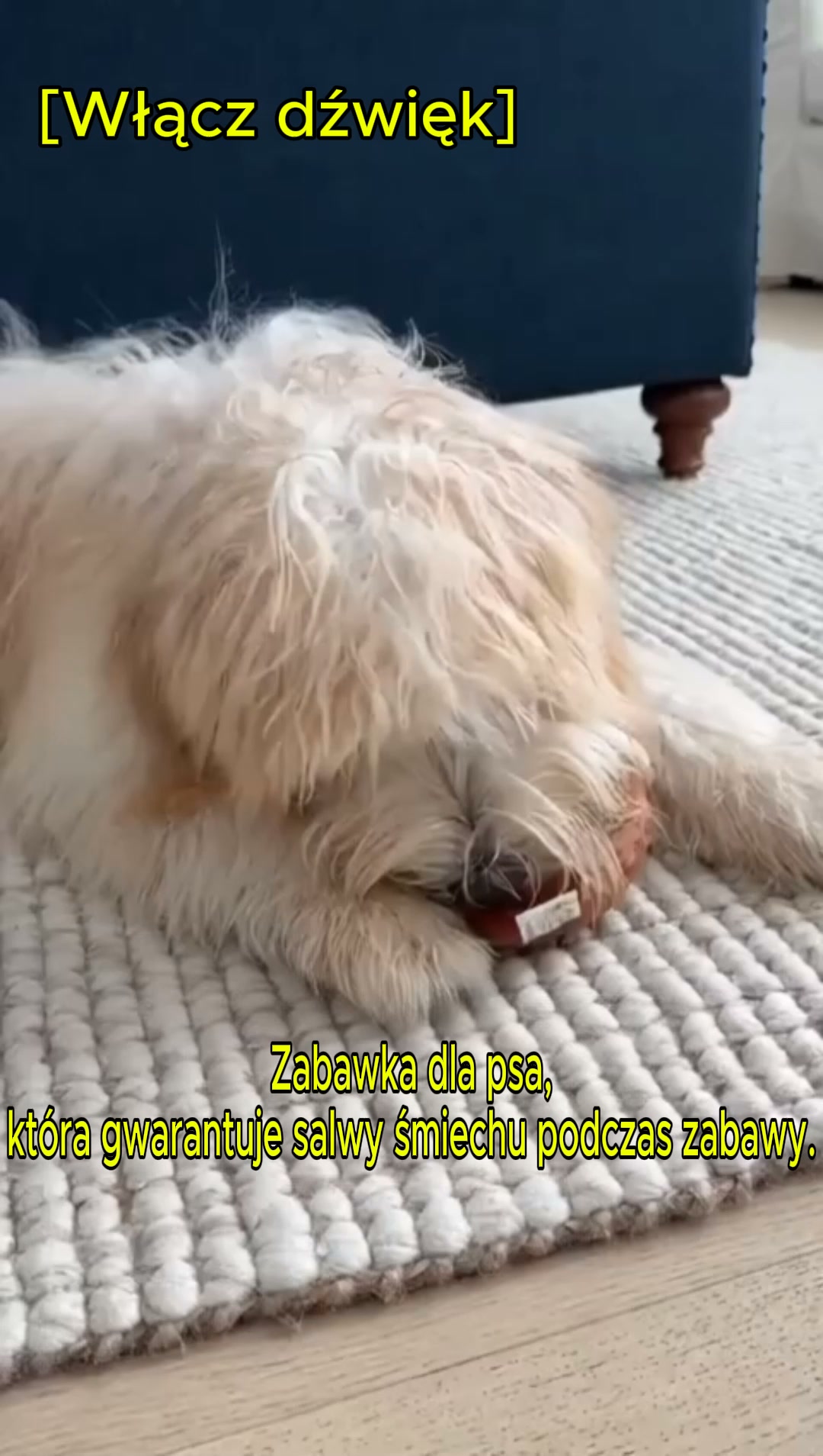 #1 Zabawka Psa