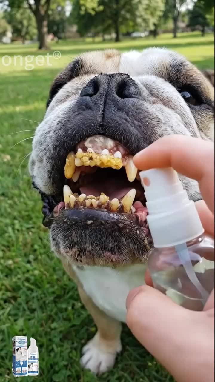 Pet Dental Tartar Care Spray