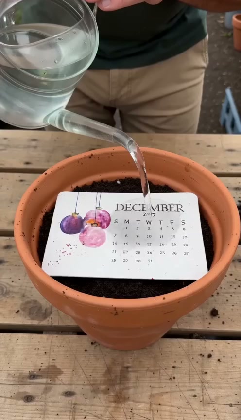 Early Holiday Sale 49% OFFEco-Friendly Plantable “Timeless” Seed Calendar 2027