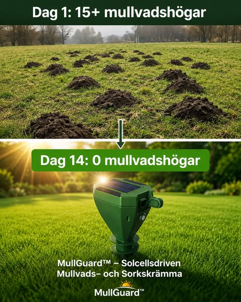 Inga fler jordhögar! GARANTERAT!