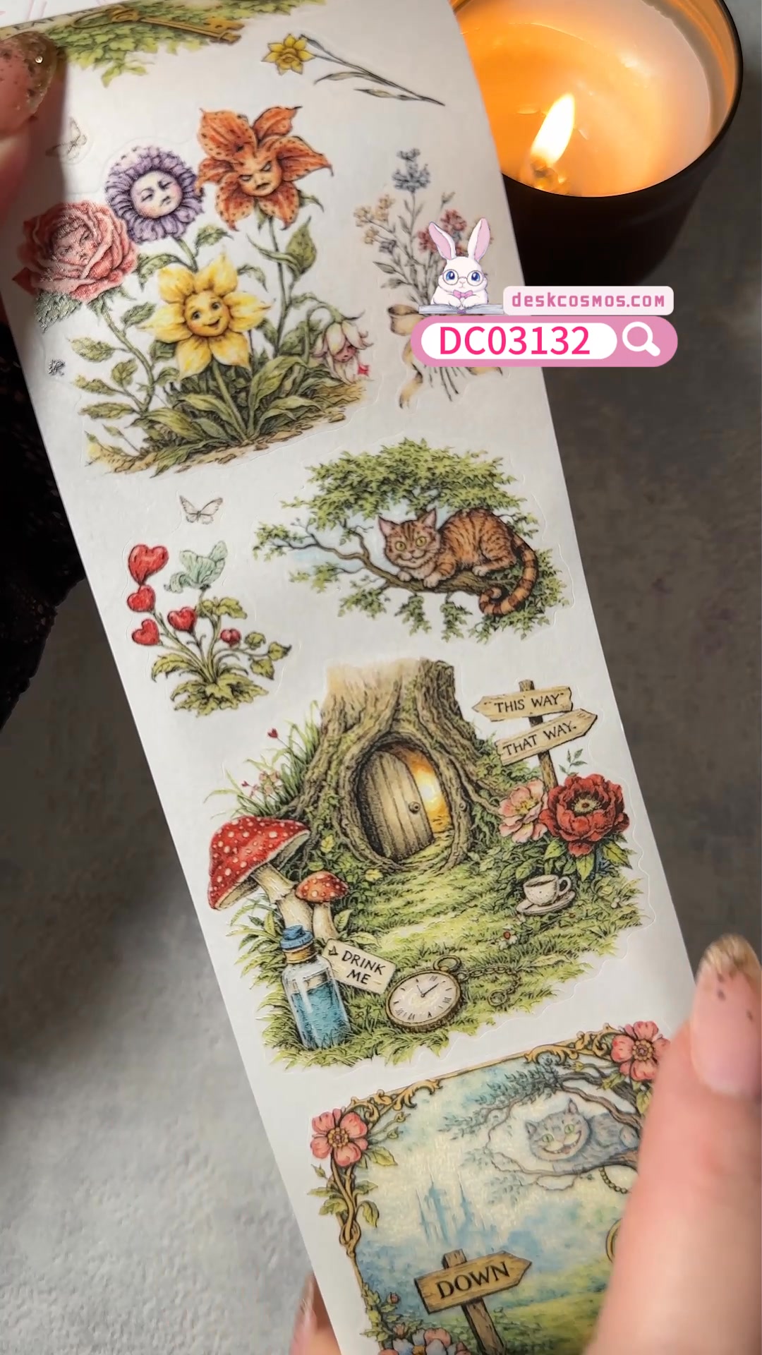 Fall Into Wonderland