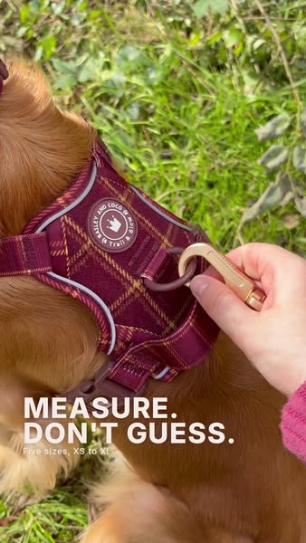 Measure first. Five sizes, XS to XL.