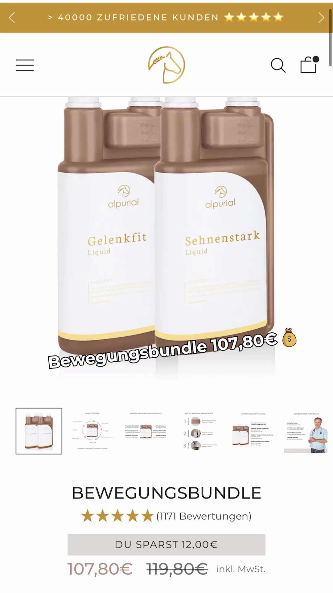 Neues Reitgefühl