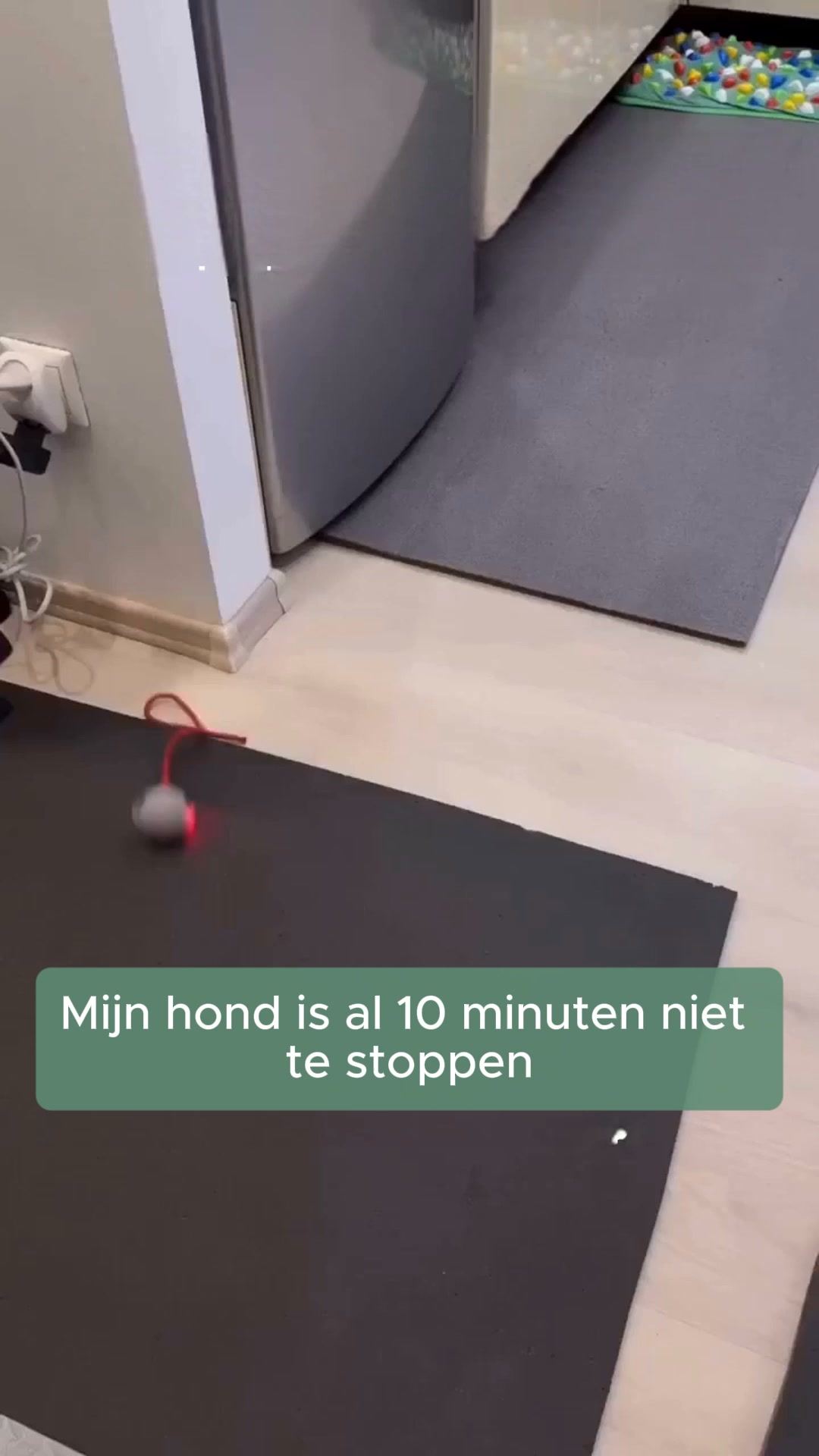 Een maatje dat zich niet verveelt