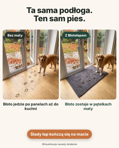 Ślady łap kończą się na macie