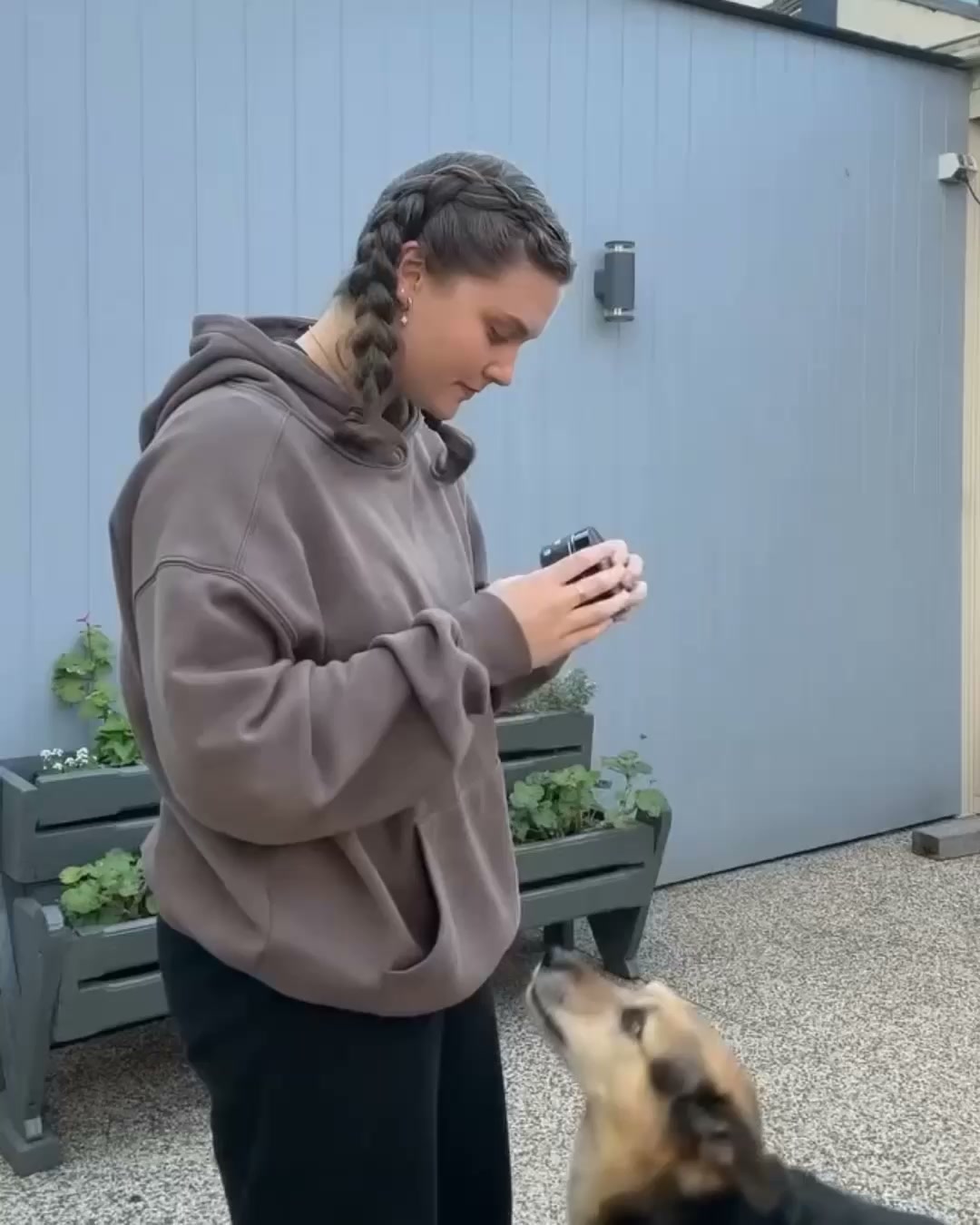 Ge din hund ett hälsosammare liv redan idag!