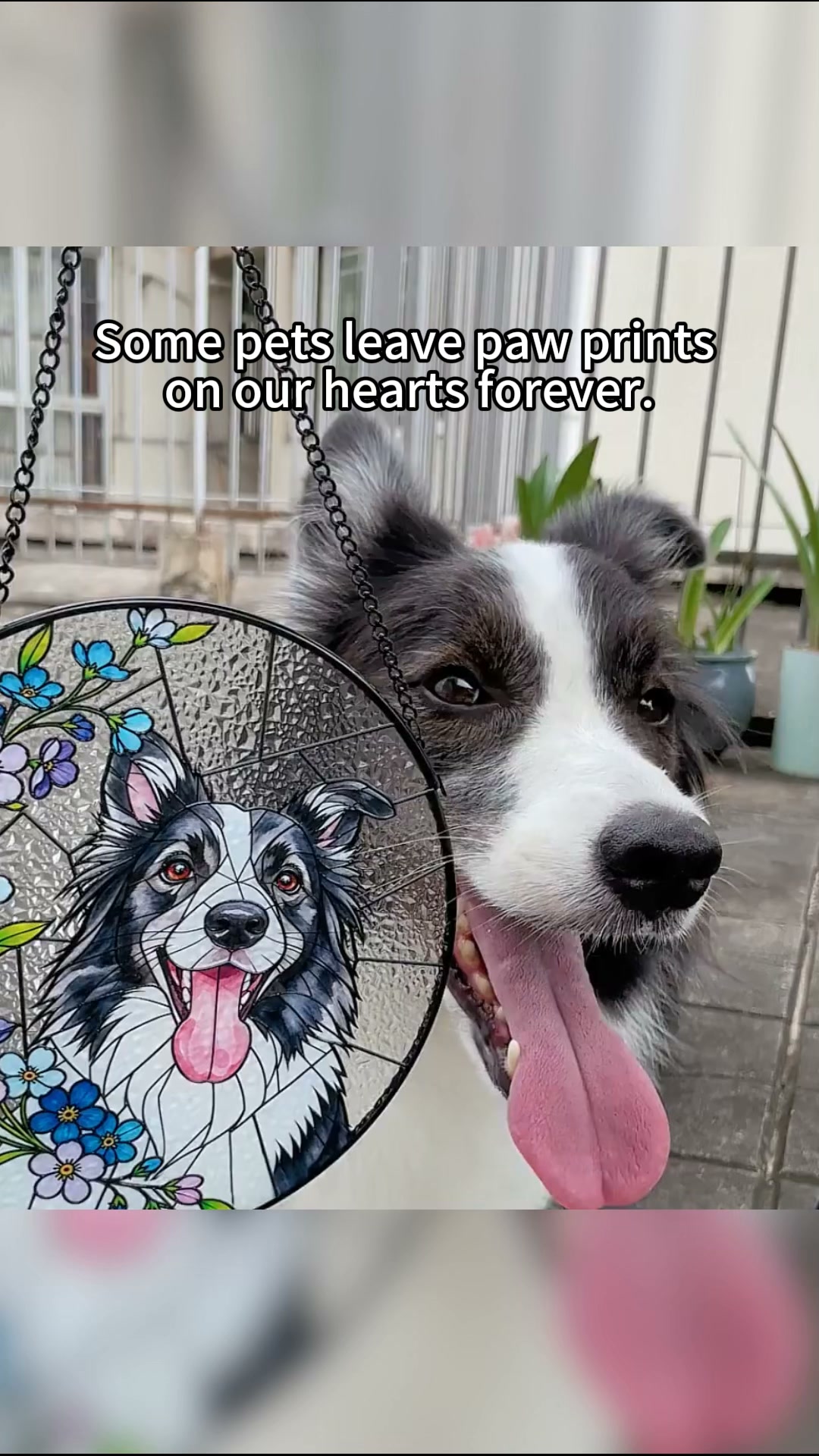 A Special Tribute to Your Pet