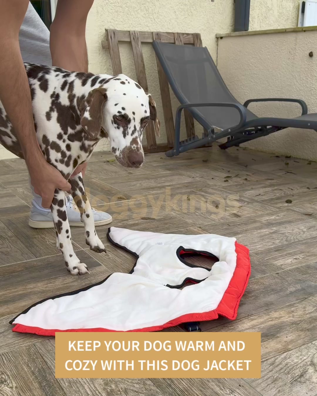 50% OFF Dog Jacket