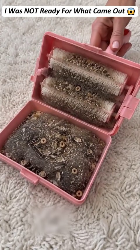One Roll. Hair, Dust & Crumbs Gone!