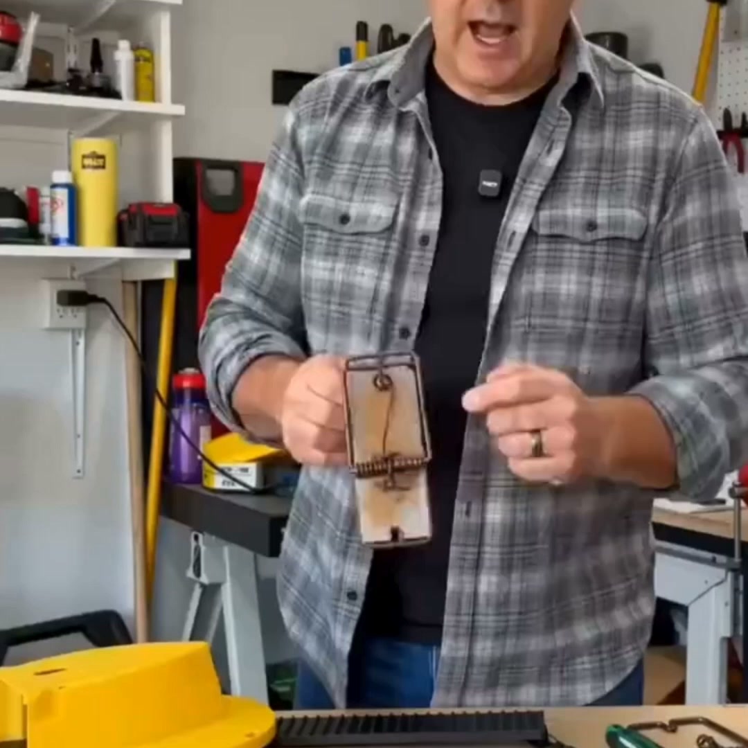 The Humane Way to End Your Rodent Problem