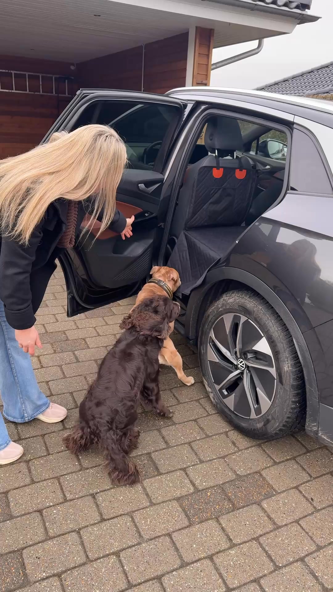 Hundejeres foretrukne løsning til bilen