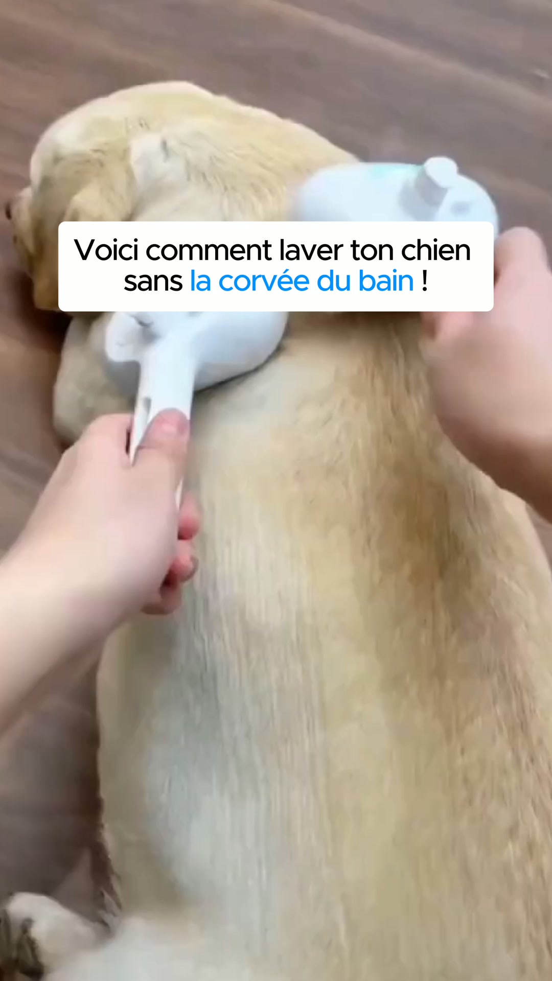 Fini le stress du bain