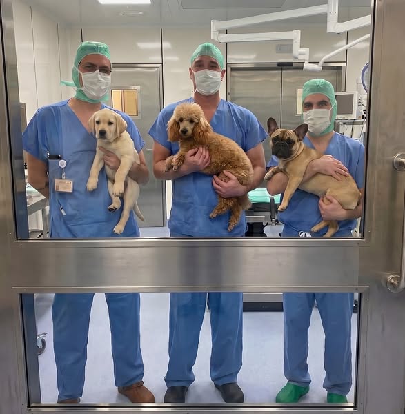 If You’re Worried About Your Dog, Read This First