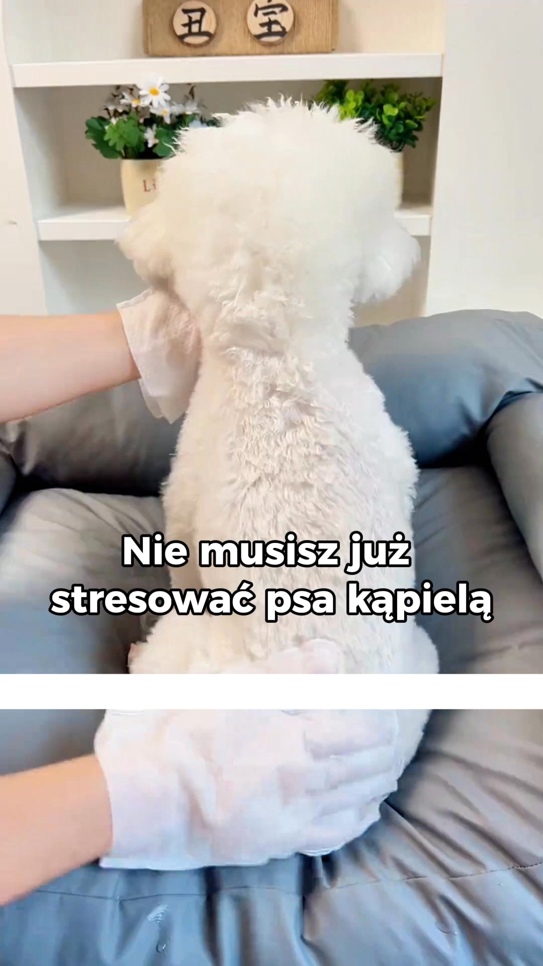 Odbierz opakowanie GRATIS