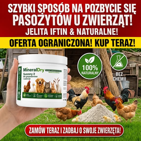 3+1 GRATIS – Przywróć produkcję jaj!