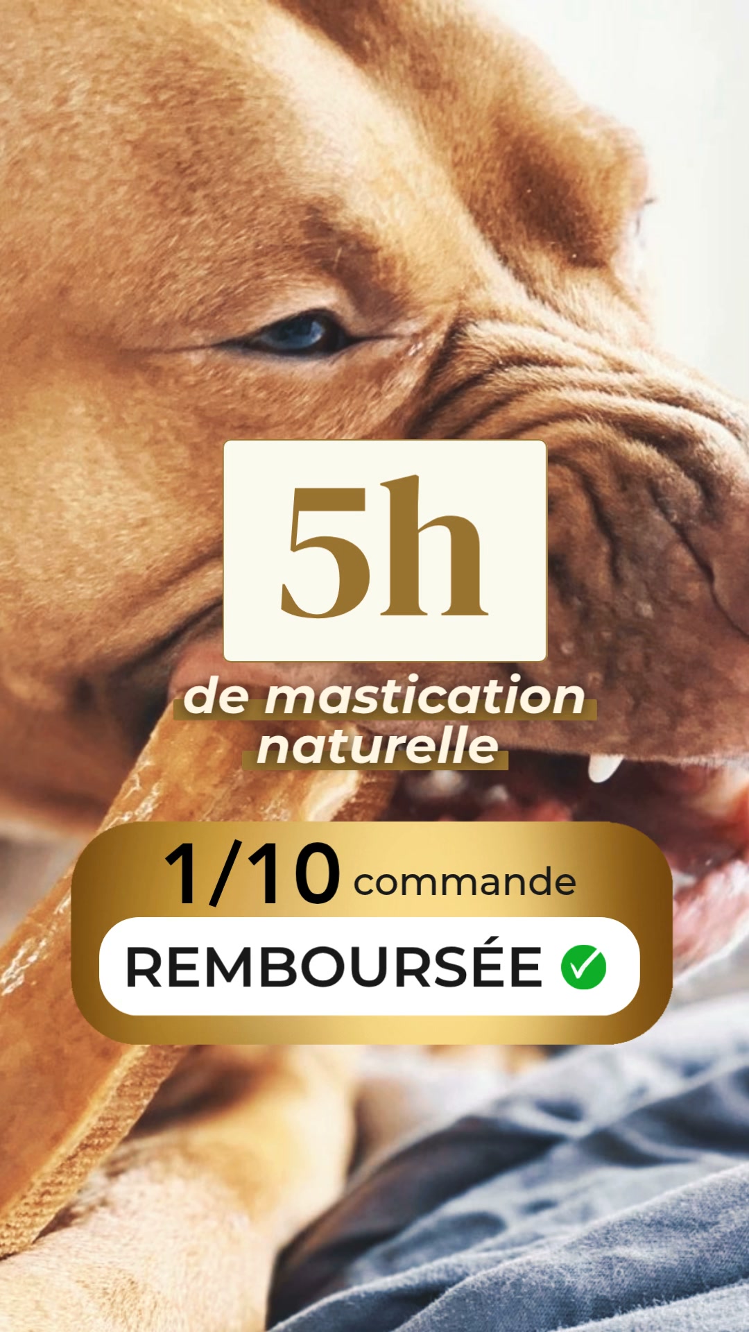 French Days : 1 commande sur 10 remboursée