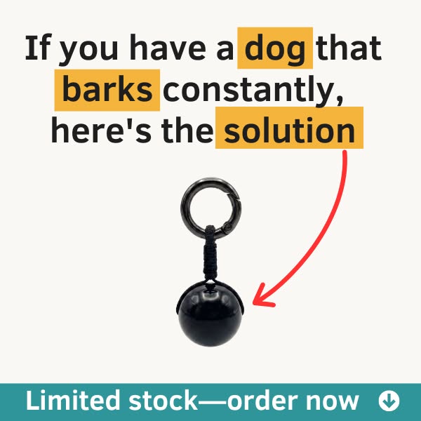 Actively contributes to your dog's well-being